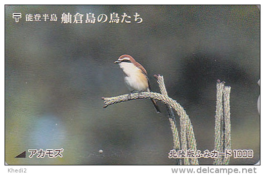 Carte Ancienne Japon - ANIMAL - OISEAU Passereau / PIE GRIECHE BRUNE - BIRD Japan Rare Prepaid Card - Vogel - Fumi 4125 - Sperlingsvögel & Singvögel
