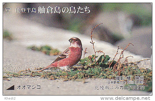 Carte Ancienne Japon - OISEAU Passereau / ROSELIN ROSE - BIRD Japan Rare Prepaid Card - Vogel Karte - Fumi 4126 - Sperlingsvögel & Singvögel