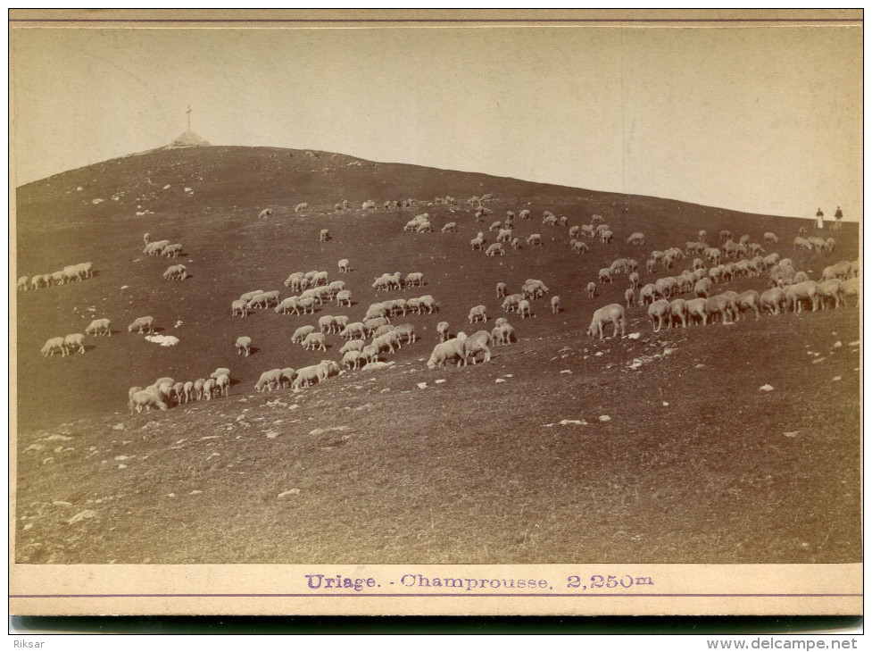 URIAGE LES BAINS(PHOTO) CHAMPROUSSE(MOUTON) - Lieux