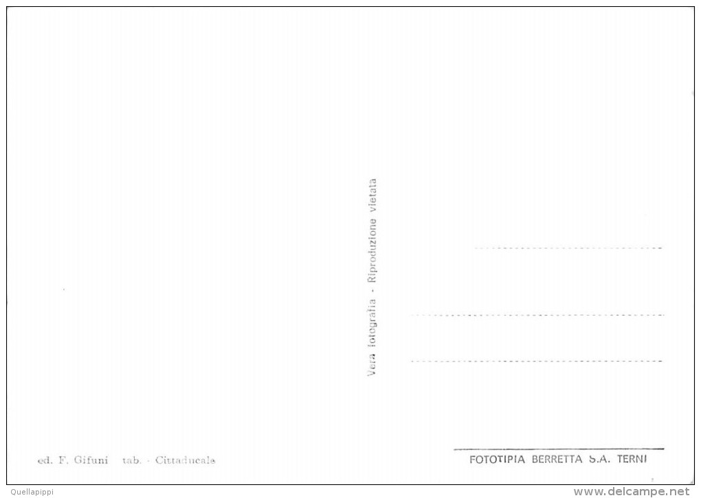 03283 "(RIETI) CITTADUCALE - SCUOLA FORESTALE"    CART.  NON SPED. - Rieti