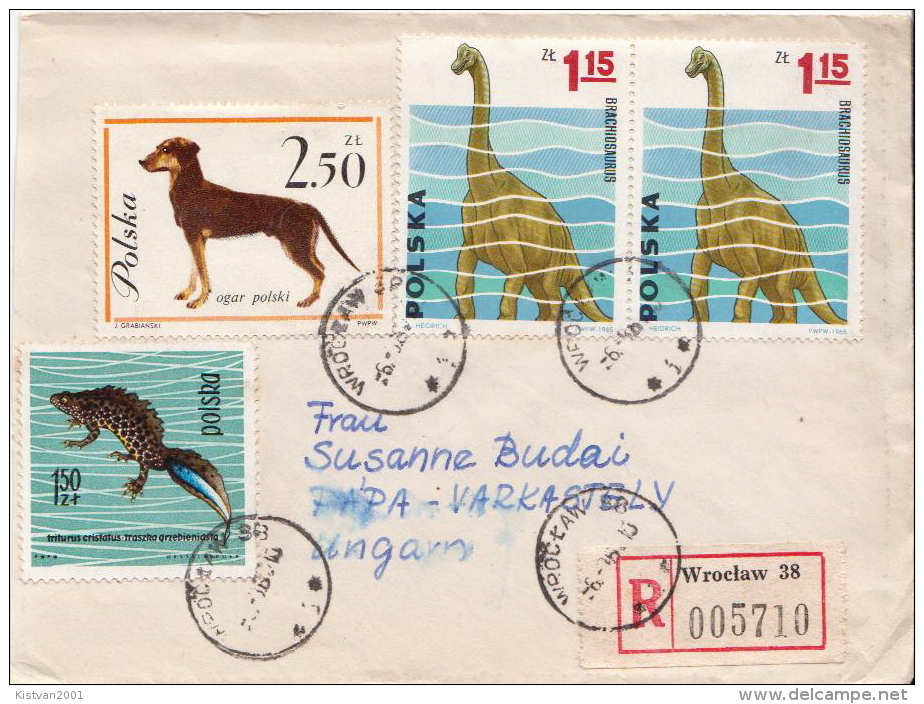 Postal History Cover: Poland Dino, Dog, Amphibiant Stamps On Cover - Other & Unclassified