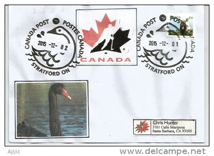 CANADA. Cygnes Sur Le Lac HURON, Belle Lettre D´Ontario  Adressée En Californie - Enveloppes Commémoratives