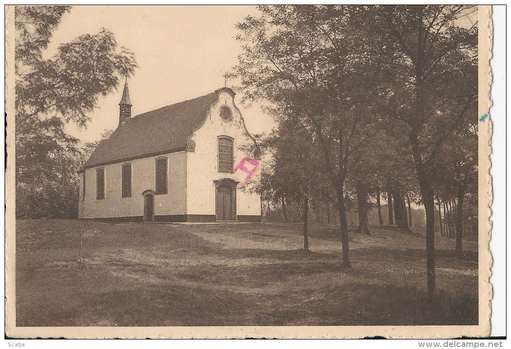 Bareldonk  -   Kapel Van O.L. Vrouw Te Bareldonk Bij  Overmere.   -    Kapel - Berlare