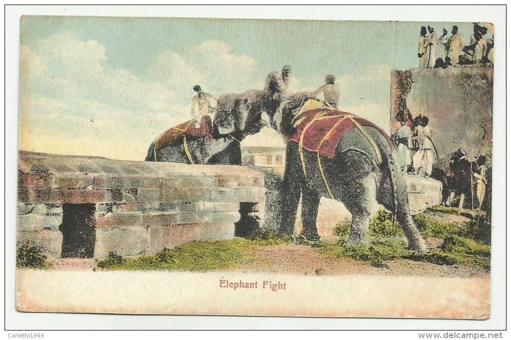ELEPHANT FIGHT N.V.F.P. PRIMI 900 - Non Classés