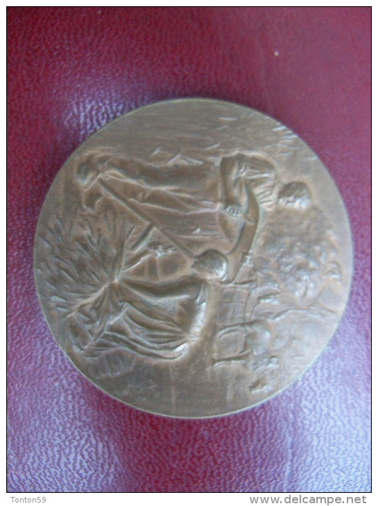 Ancienne Médaille Bronze Comice Agricole Des Cantons De Saint Marcellins Et Pont En Royans Signée Rivet - Autres & Non Classés