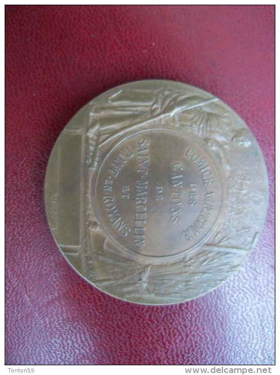 Ancienne Médaille Bronze Comice Agricole Des Cantons De Saint Marcellins Et Pont En Royans Signée Rivet - Autres & Non Classés