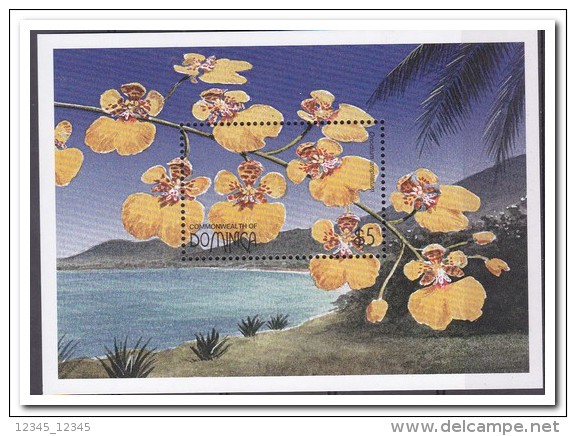 Dominica 1997, Postfris MNH, Flowers, Orchids - Dominique (1978-...)