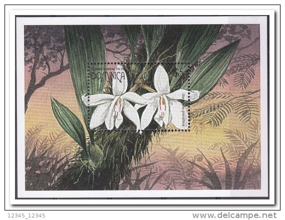 Dominica 1997, Postfris MNH, Flowers, Orchids - Dominica (1978-...)