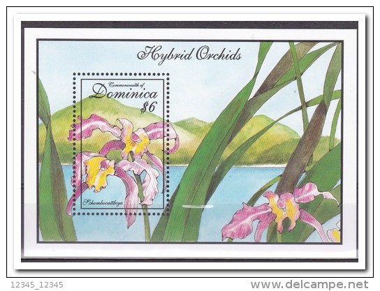 Dominica 1994, Postfris MNH, Flowers, Orchids - Dominica (1978-...)