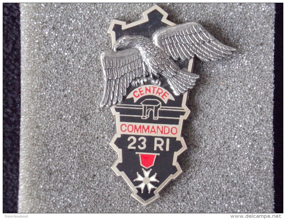 Insignes Militaire "23ème Régiment D'Infanterie "ENGINEER REGIMENT " - Armée De Terre