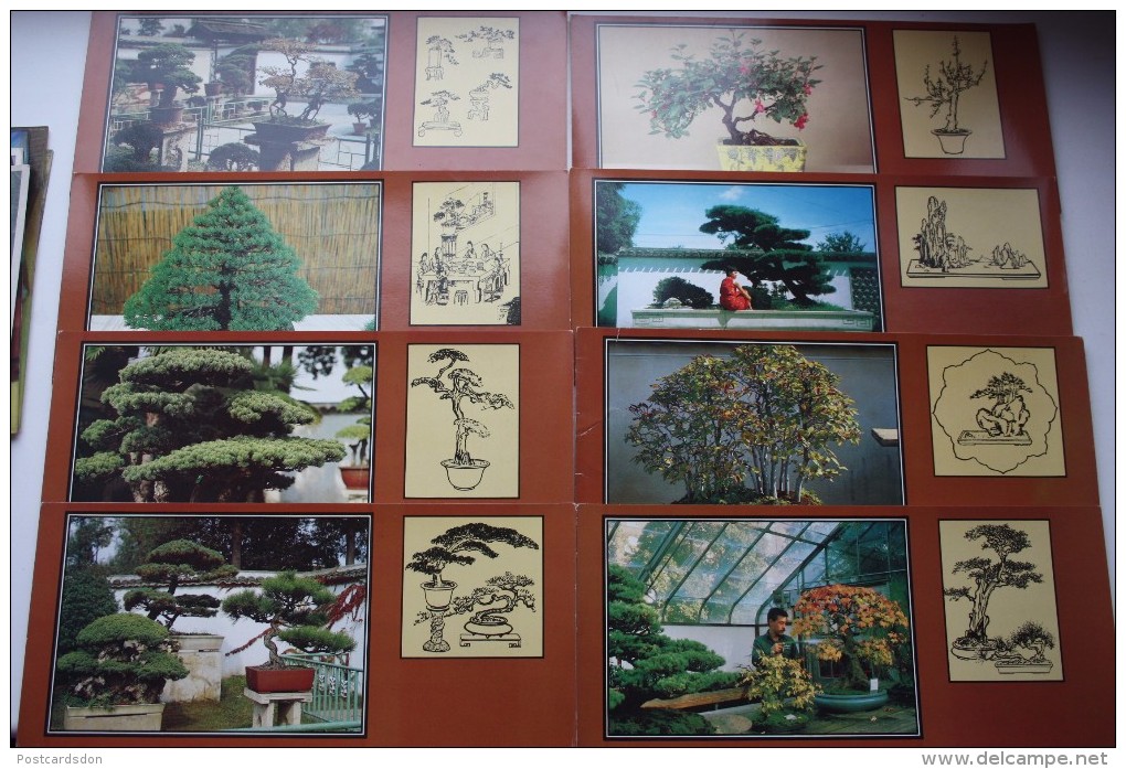 BONSAI WORLD - 21 Postcards Set -  Japanese Small Tree - Bonsai - Trees