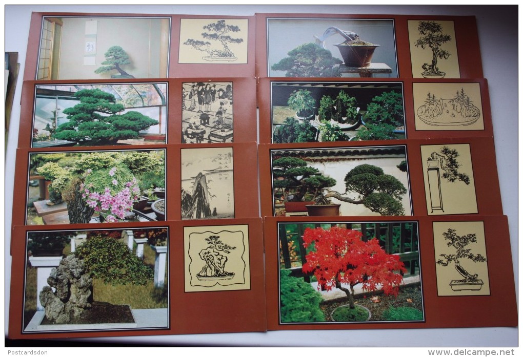 BONSAI WORLD - 21 Postcards Set -  Japanese Small Tree - Bonsai - Trees