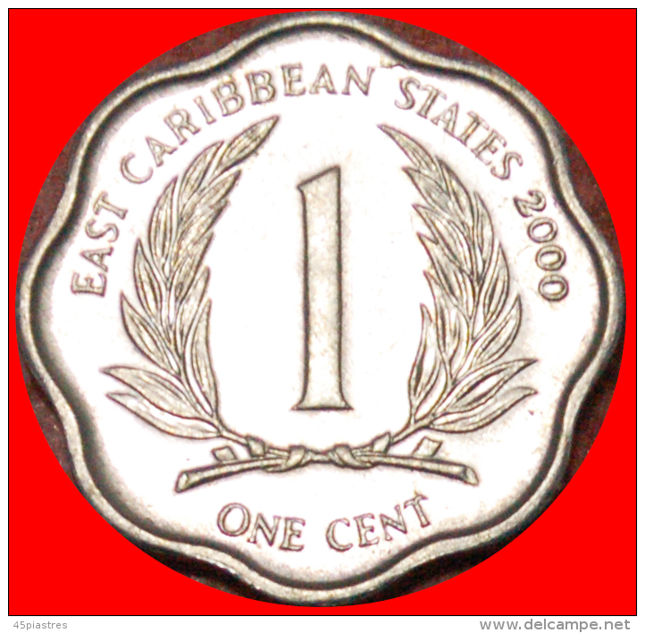 &#9733;SCALLOPED: EAST CARIBBEAN &#9733; 1 CENT 2000! LOW START &#9733; NO RESERVE!!! - Oost-Caribische Staten