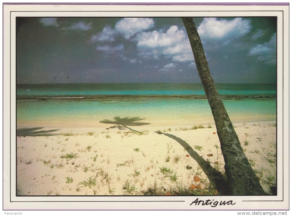 Antigua °° Many Beautiful Palm Fringed Beaches - écrite 1972 - 12x17 ° T-P ° LUXE - Antigua & Barbuda