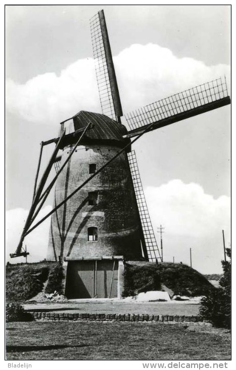 OVERPELT (Limburg) - Molen/moulin - Historische Prentkaart Van Molen ´t Hasselt Of Molen Leyssen Omstreeks 1960 - Overpelt