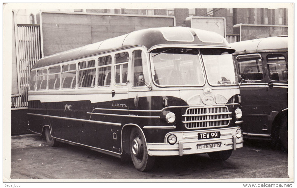 Bus Photo Whippet Coaches Bedford SB1 Yeates Europa TEW991 Hilton - Cars