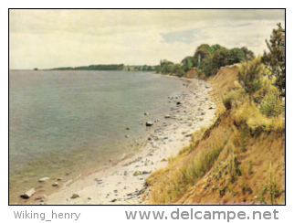 Eckernförde - Steilküste Bei Altenhof - Eckernfoerde