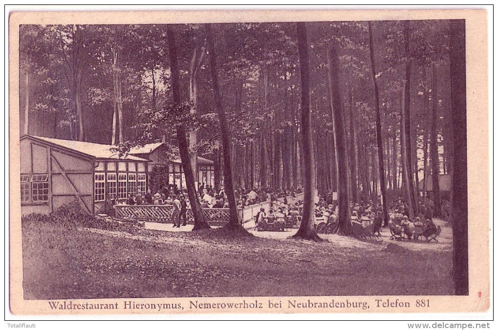 NEUBRANDENBURG Waldrestaurant Hieronymus Nemerower Holz Belebt Ungelaufen Grünlich - Neubrandenburg