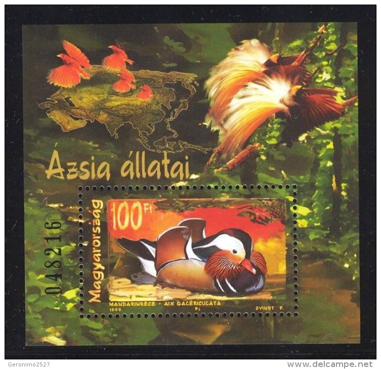 HUNGARY 1999 FAUNA Asian Animals BIRDS DUCK - Fine S/S MNH - Unused Stamps