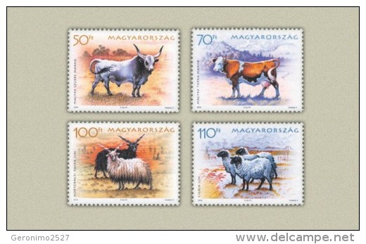 HUNGARY 2005 FAUNA Domestic Animals BULL COW GOAT SHEEP - Fine Set MNH - Neufs