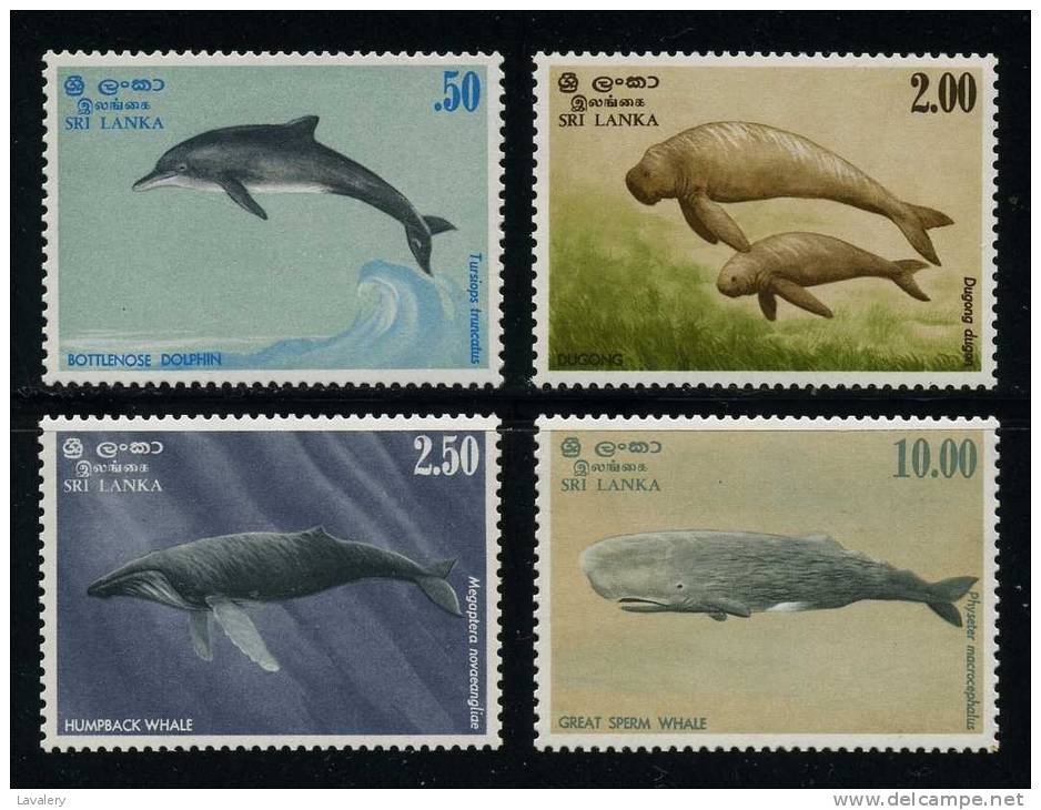 SRI LANKA CEYLON 1983 Marine Life Dolphin Dolphins Whales Dugong Animals Fauna MNH - Whales