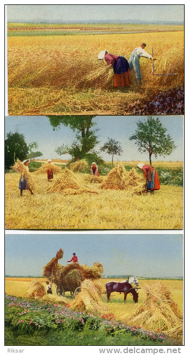 AGRICULTURE(LOT DE 8 CARTES) - Autres & Non Classés