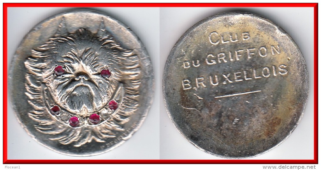 **** BELGIQUE - BELGIUM - MEDAILLE CLUB DU GRIFFON BRUXELLOIS **** EN ACHAT IMMEDIAT - Profesionales / De Sociedad