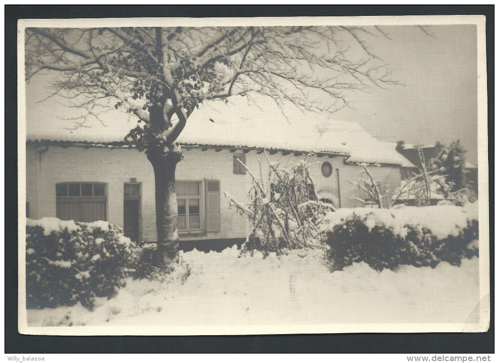 Photo - Ferme Rue De L´Hospice - BOITSFORT - Novembre 1925 - Neige N2   // - Watermaal-Bosvoorde - Watermael-Boitsfort