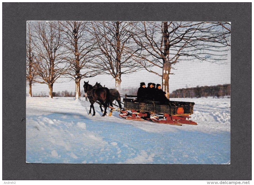 KITCHENER - ONTARIO - MENNONITE FAMILY - WINTER SCENE - PROMENADE EN CARRIOLE AVEC CHEVEAUX - SLEIGH RIDE WITH HORSES - Kitchener