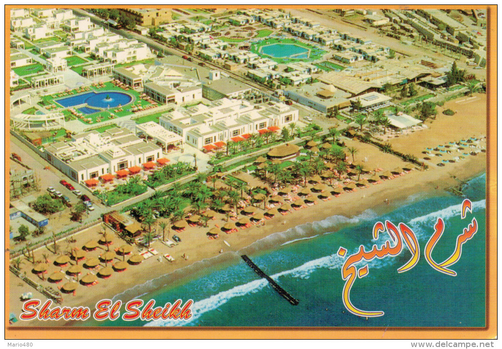 SHARM  EL  SHEIKH       MAXI-CARD     (VIAGGIATA) - Sharm El Sheikh