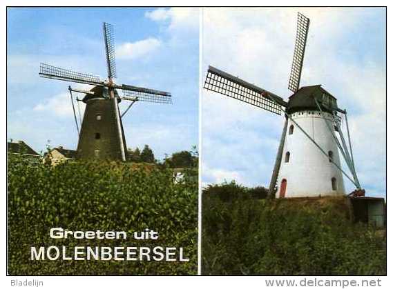 MOLENBEERSEL Bij Kinrooi (Limburg) - Molen/moulin - De Twee Stenen Molens (Zorgvlietmolen En Keijersmolen) - Kinrooi