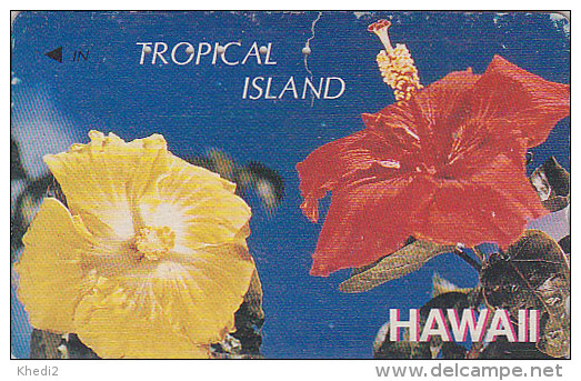 RARE Télécarte Japon-  HAWAII - FLEUR HIBISCUS - FLOWER Japan Phonecard - BLUME Telefonkarte - 241 - Blumen