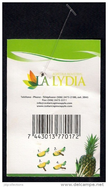 # PINEAPPLE SWITI 7 Type 2 Back Side Modified Fruit Tag Balise Etiqueta Anhanger Ananas Pina Costa Rica - Fruits & Vegetables