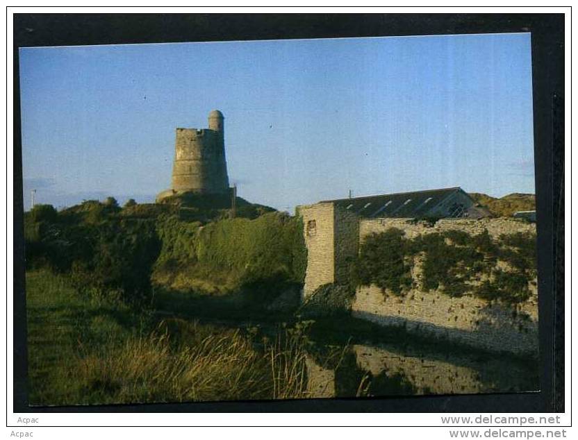 50  ST VAAST LA HOUGUE Le Fort - Saint Vaast La Hougue