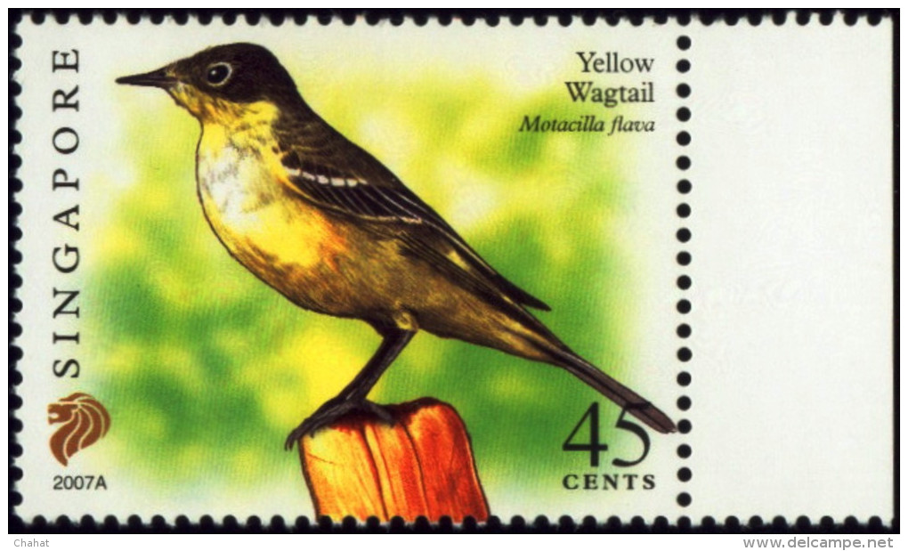 BIRDS-YELLOW WGTAIL-SINGAPORE-REPRINT SERIES-2007A-MNH-B6-883 - Pics & Grimpeurs