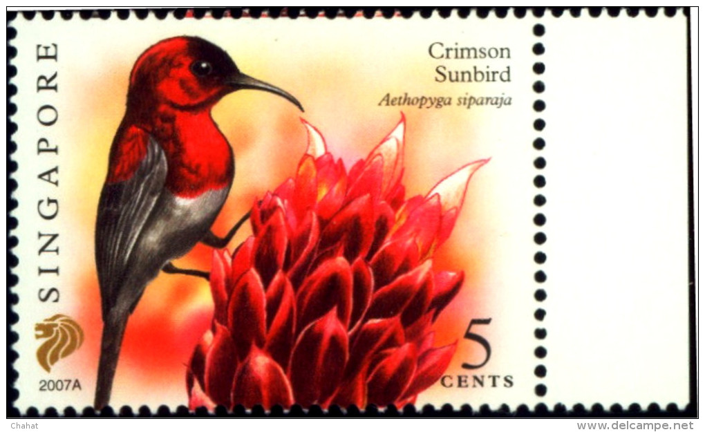 BIRDS-CRIMSON SUNBIRD-SINGAPORE-REPRINT SERIES-2007A-MNH-B6-883 - Colibris