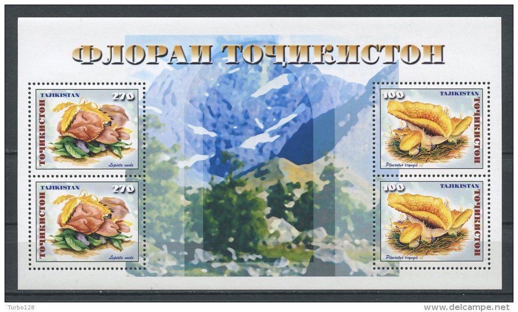 TADJIKISTAN 1999 Bloc N° 22 ** Neuf = MNH  Superbe Cote 6 &euro;  Flore Champignons Pleurotus Lepista Musrooms Flora - Tajikistan