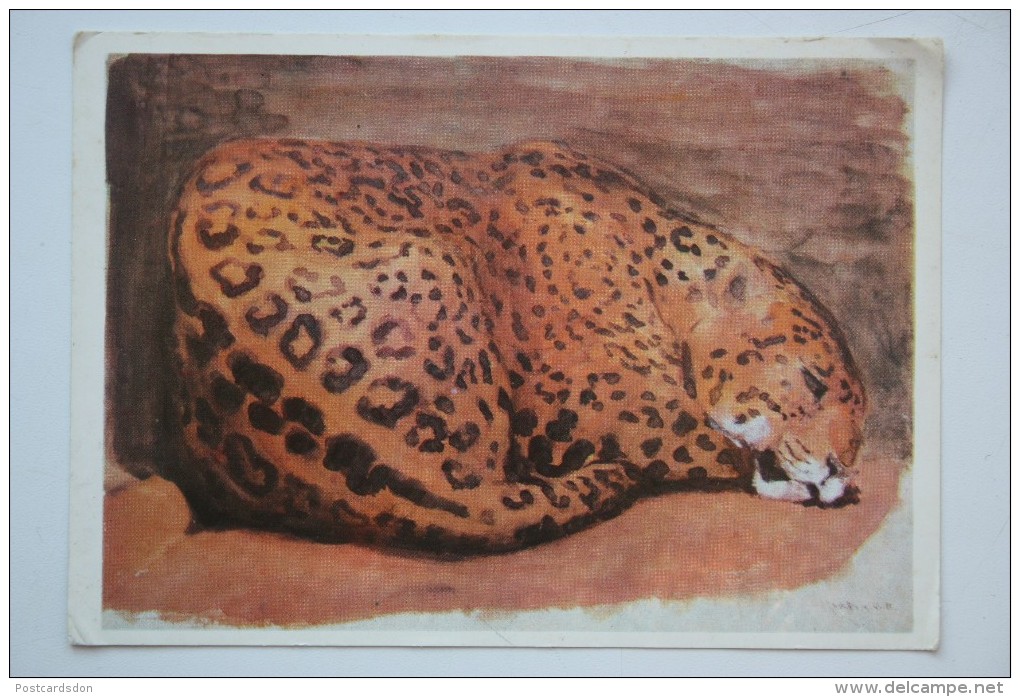 Painter VATAGIN. Jaguar  - Old USSR Postcard 1978 - Tiger