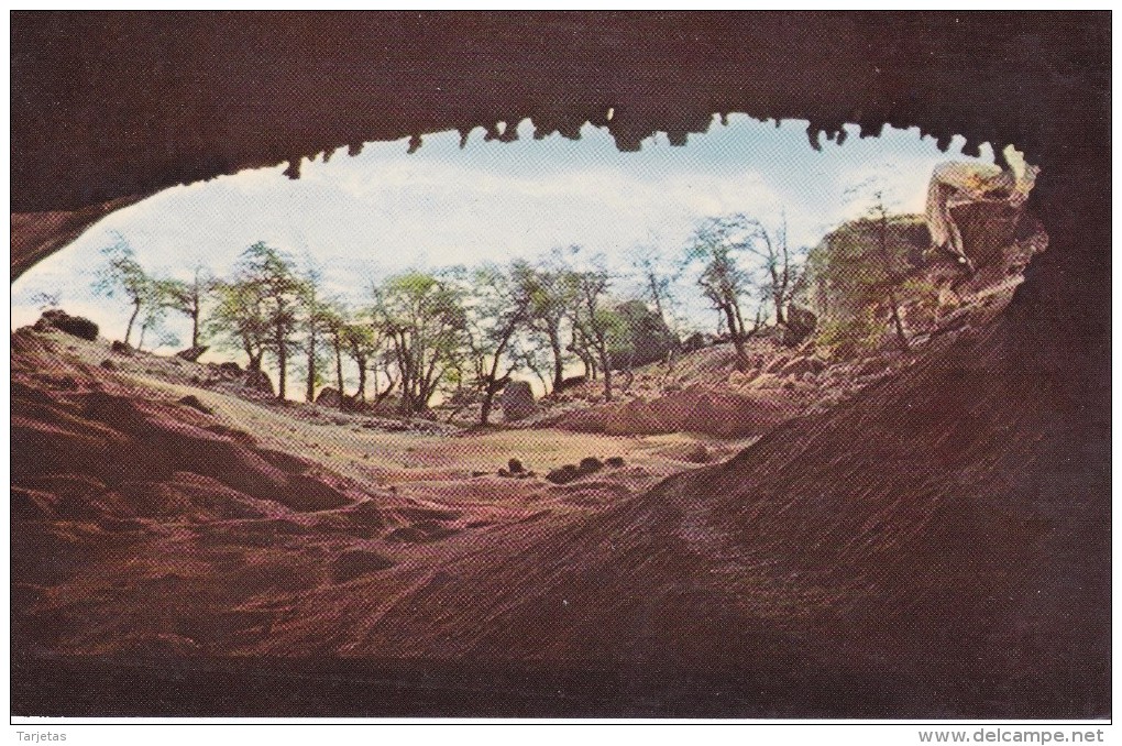 POSTAL DE LA CUEVA DEL MILODON - ULTIMA ESPERANZA, MAGALLANES (CHILE) ( FOTO SANCHEZ) - Chile