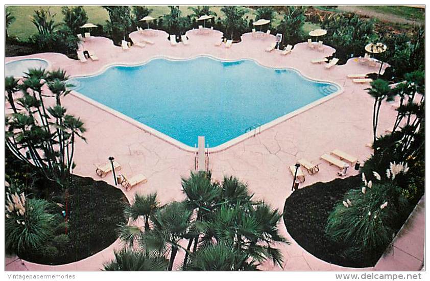 258241-Florida, Tampa, Holiday Inn, Swimming Pool - Tampa