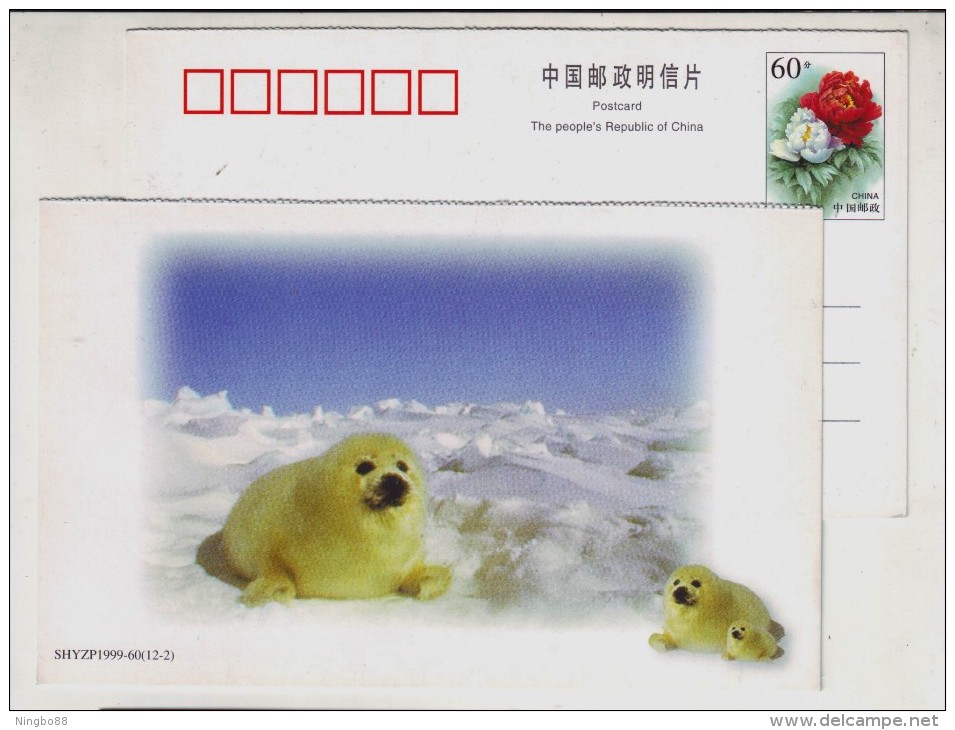 China 1999 New Year Greeting Postal Stationery Card Lovely Greenland Baby Seal - Other & Unclassified