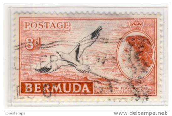 Bermuda Mi.Nr. - BM - 139 - 1955 - Refb3 - 1858-1960 Kronenkolonie