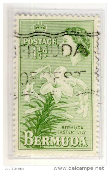 Bermuda Mi.Nr. - BM - 132 - 1953 - Refb3 - 1858-1960 Colonie Britannique