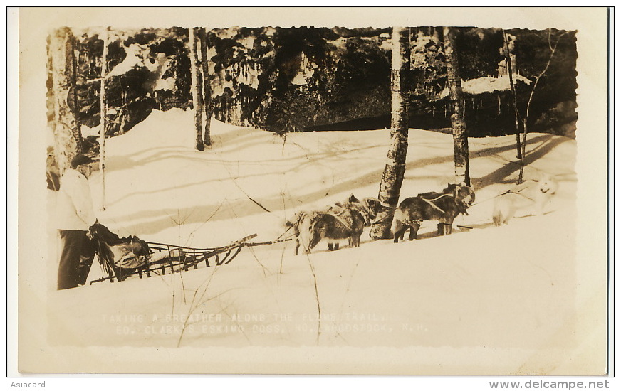 North Woodstock Real Photo Ed. Clark´s Eskimo Sled Dog  Chien Traineau Attelage Chiens Putnam Phot Antrim - Autres & Non Classés