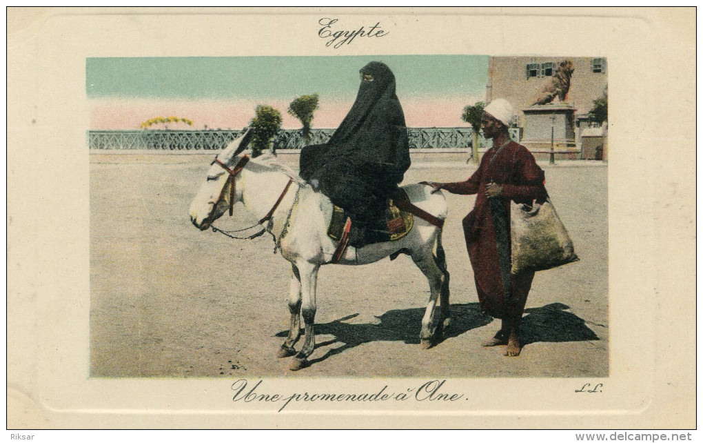 ANE(EGYPTE) LE CAIRE(TYPE) - Burros