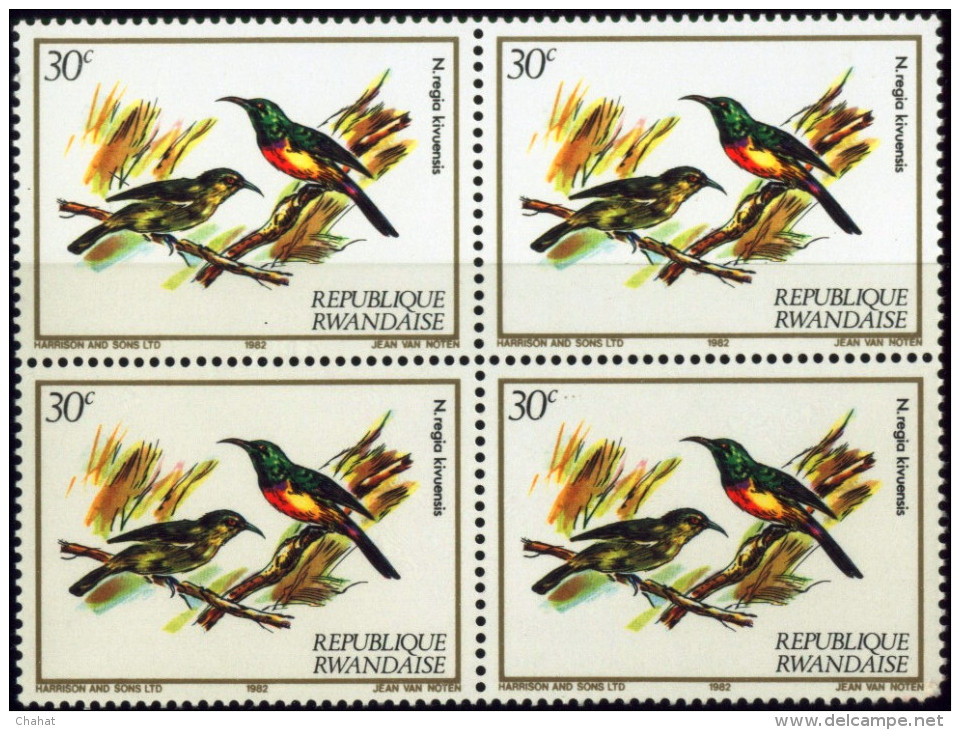 BIRDS-NECTAR SUCKING BIRDS-REGAL SUNBIRDS-RWANDA-1983-BLOCK OF 4-MNH-B6-795 - Kolibries