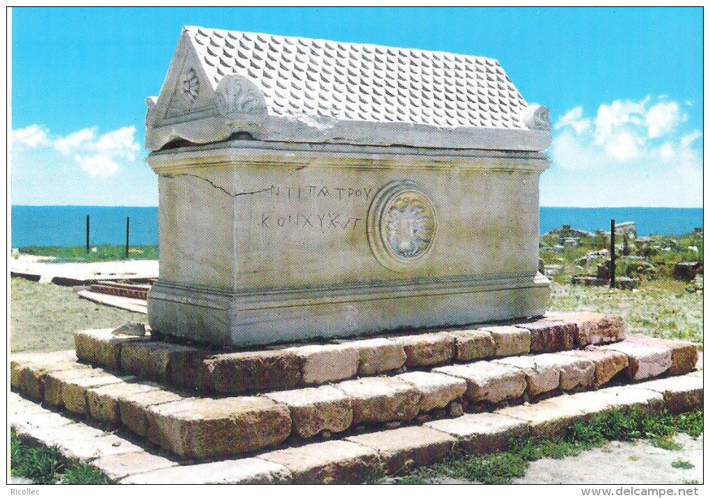 Carte Postale LIBAN Tyr Sour Sarcophage De Medus -  Postcard Lebanon Libanon Tyre Sarcophage Medus - Lebanon