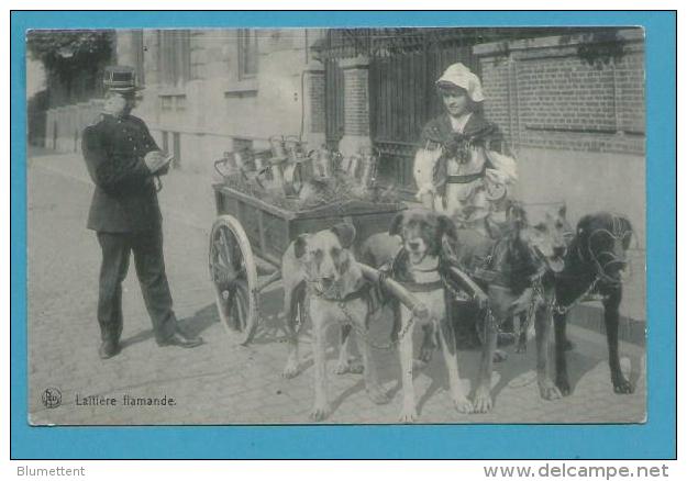 CPA - Voiture à Chiens Métier Marchande De Lait Laitière Flamande - Belgique - Andere & Zonder Classificatie