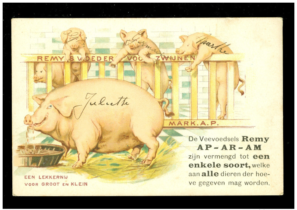 Reclame  Publicité  Carte Publicitaire :  Cochon  - REMY ' S Voeder Voor Zwijnen  ( Zwijn Varkens Varken ) - Werbepostkarten