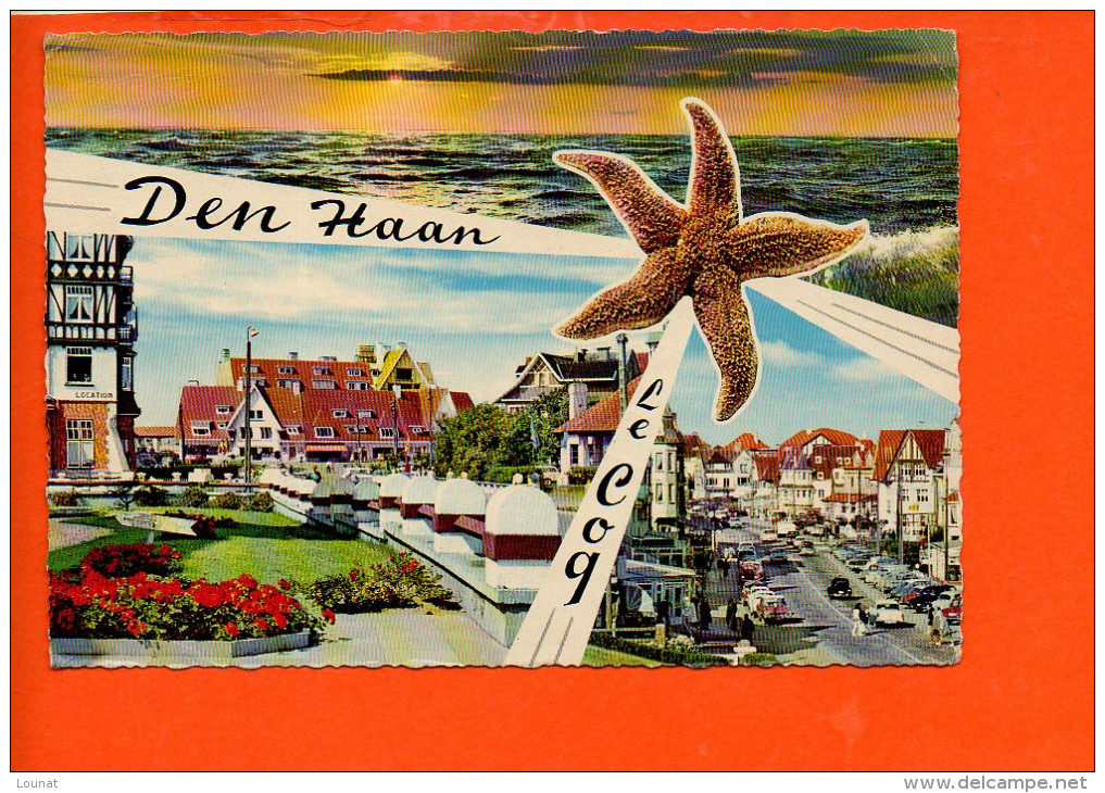 COQ Sur Mer: Den HAAN - De Haan